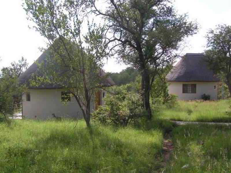 Mbizi Bush Lodge Phalaborwa Exteriér fotografie